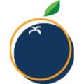 The Collett & Vista Support Services